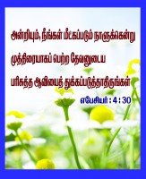 /album/hmpa-church/a13-16-d-jpg/